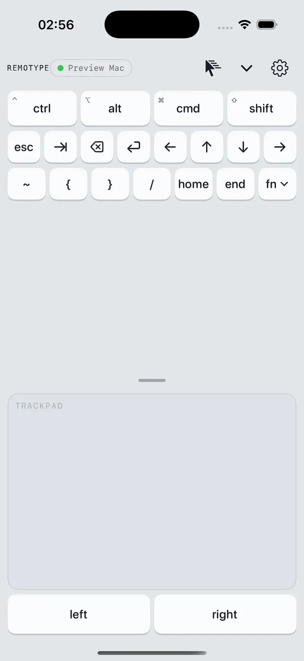 Remotype's trackpad view: a large multi-touch pad with left and right click buttons.